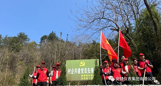 党建强引领，共植先锋林